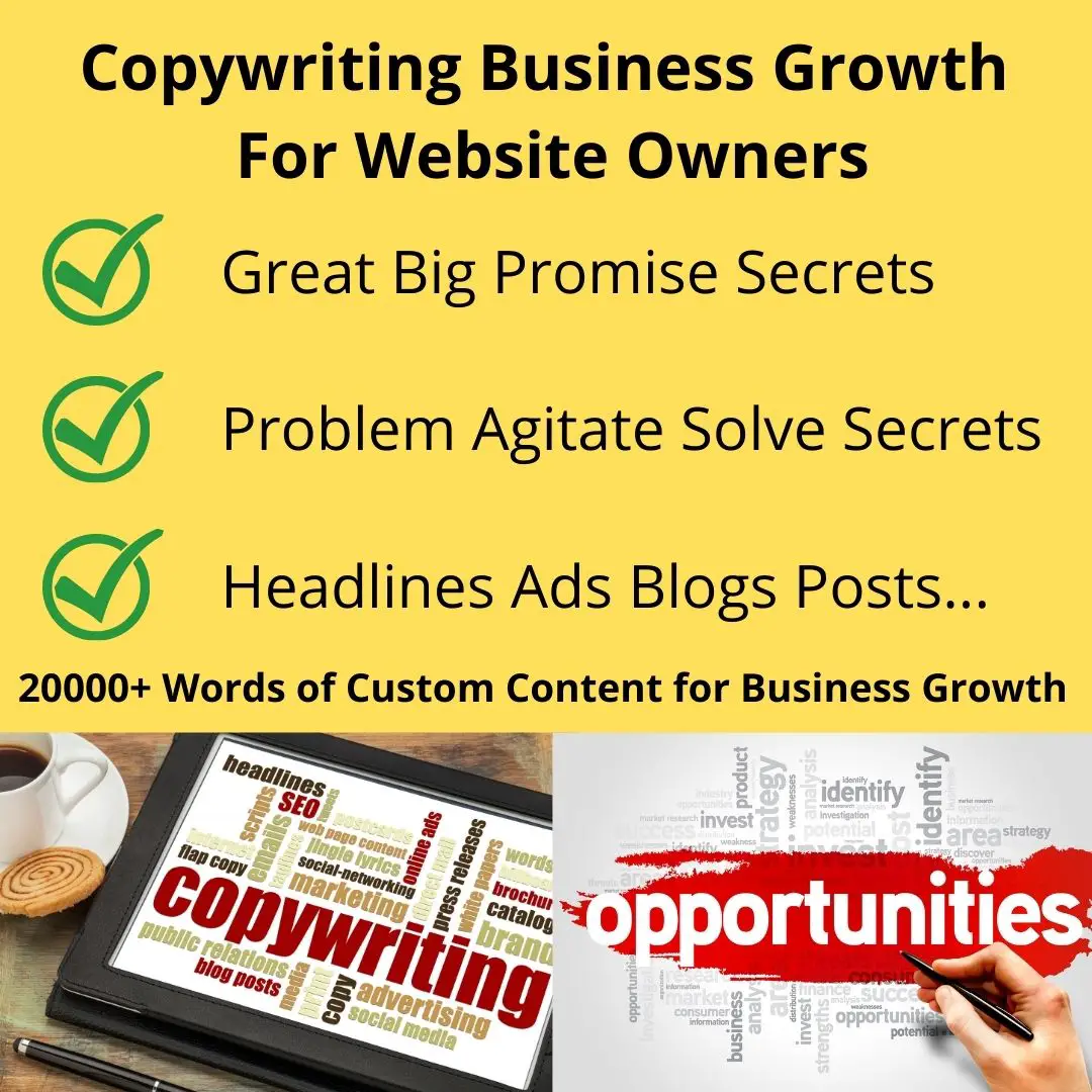 Copywriting Business Growth For Website Owners
